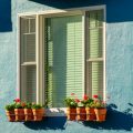 Nachhaltige Rasenalternativen: Bodendecker und Wildblumenwiesen als ökologische Option