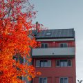 Haftpflicht, Gebäude- und Hausratversicherung: Schnittstellen und Verantwortlichkeiten in der Eigentümergemeinschaft