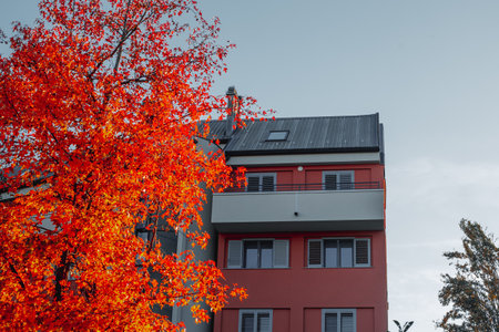 Haftpflicht, Gebäude- und Hausratversicherung: Schnittstellen und Verantwortlichkeiten in der Eigentümergemeinschaft