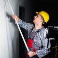 Bäume und Sträucher mit geringem Pflegebedarf für den deutschen Außenbereich