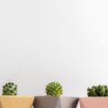 Wandgestaltung in Mietwohnungen: Was ist erlaubt und wie geht rückstandsloses Streichen?